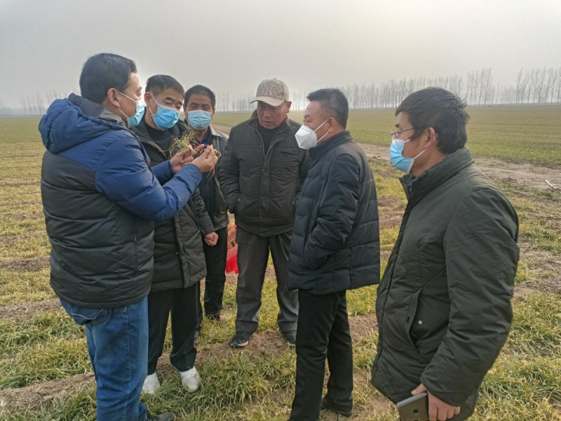 濟(jì)寧市第一！曲阜7人獲評省優(yōu)秀科技特派員稱號